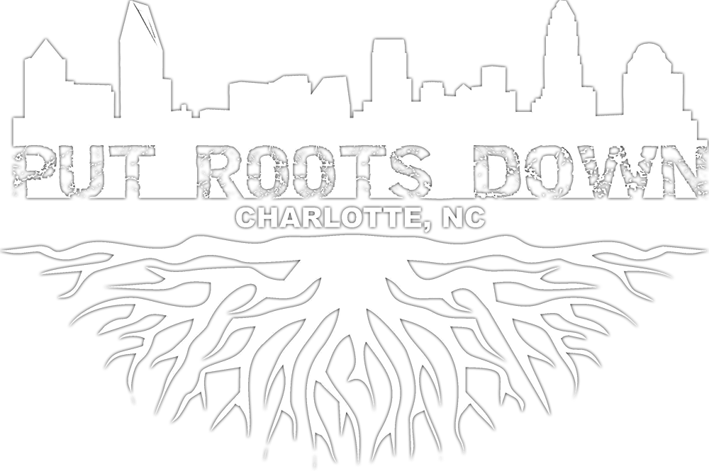 Put Roots Down Charlotte